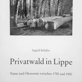 Privatwald in Lippe
