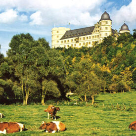 Wewelsburg über dem Almetal