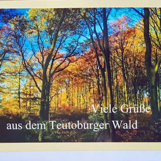 Postkarte Teutoburger Wald