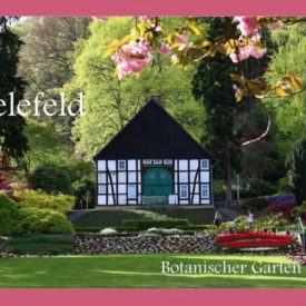 Postkarte Botanischer Garten Bielefeld