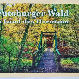 Teutoburger Wald Postkarte Donoper Teich