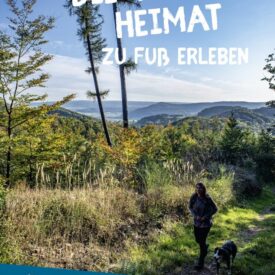 Die wilde Heimat Solling