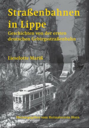 Straßenbahnen in Lippe